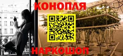 амф Сланцы