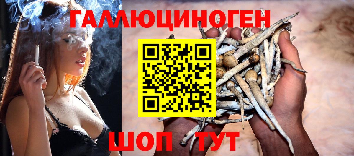 Псилоцибиновые грибы Magic Shrooms Фрязино