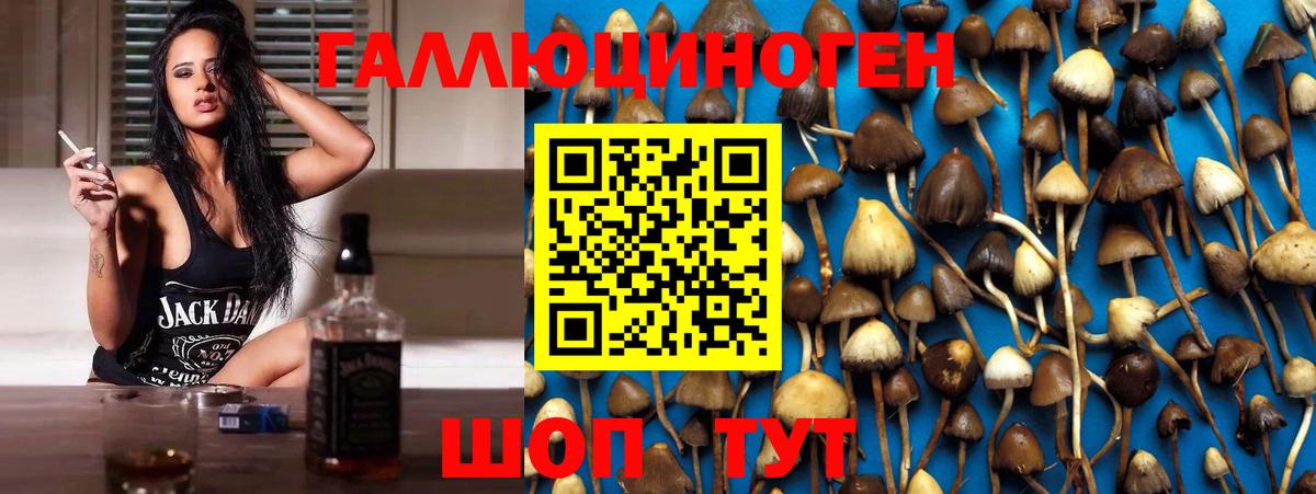 Галлюциногенные грибы ЛСД  Вход с VPN  Фрязино  Галлюциногенные грибы MAGIC MUSHROOMS 